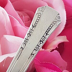 1881 Rogers Oneida Del Mar 30 Piece Silverplate Cutlery Set 6 Place Settings